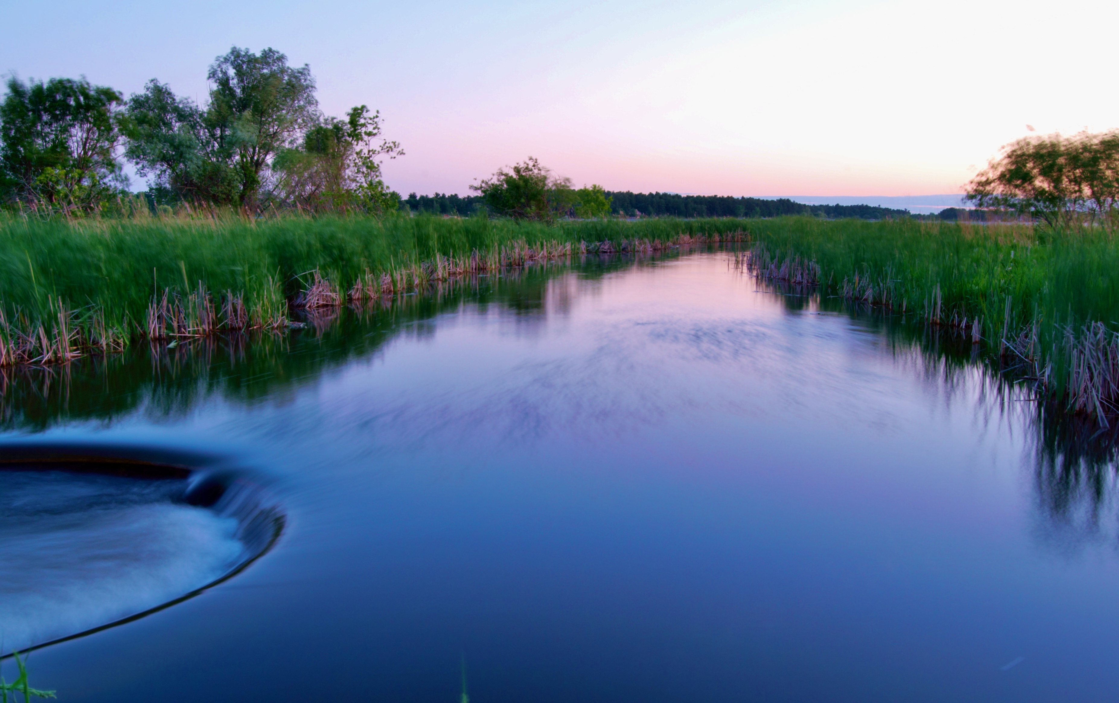 DSC_1638 (2) rodriquis